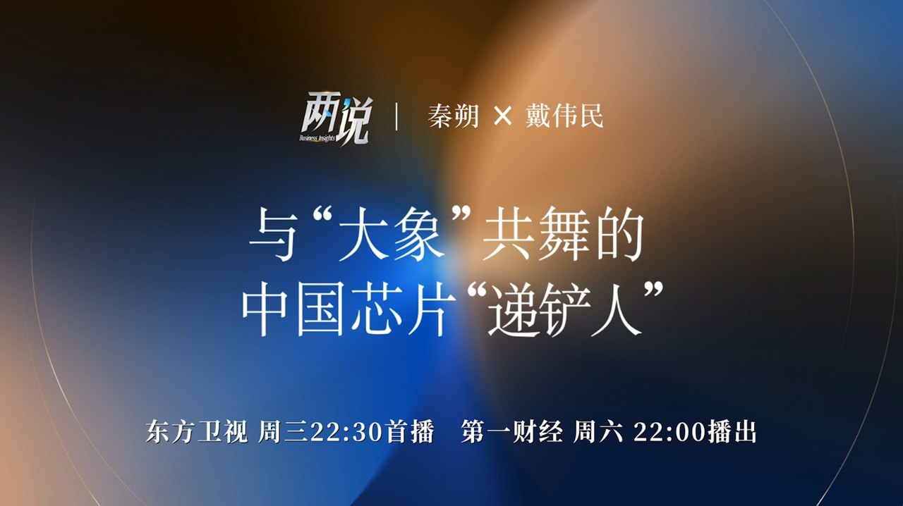 与“大象”共舞的中国芯片“递铲人”丨两说